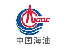 国产又黄又硬又粗